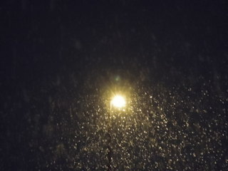 Nikon P300 街灯と雪の振る夜空を撮影