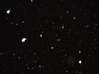 Nikon COOLPIX P300 雪を撮影