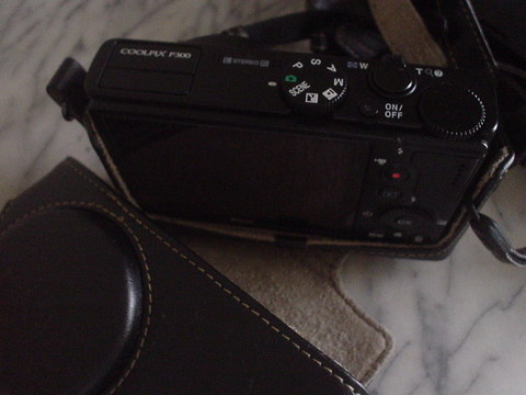 ニコンP300カメラケース画像