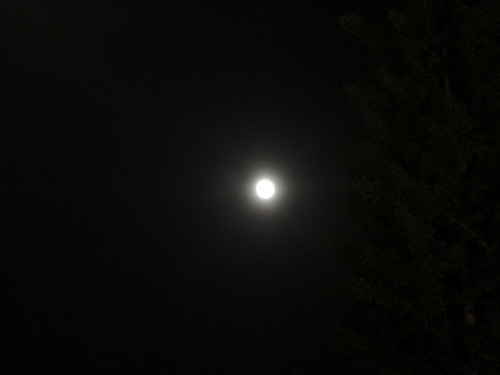 月（スーパームーン！？）を撮影 Nikon COOLPIX P310使用